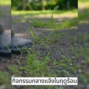 🔥20ปีไม่มีงู🔥ผงกำมะถันไล่งู ติดทนนาน ปลอดภัยและไม่เป็นพิษ ผงไล่งู กำมะถันผง SULFUR POWDER ไม่กลัวฝน ติดทนนาน ผงไล่งู กำมะถัน เครื่องไล่งู ไล่งู ไล่แมลง สารไล่งู กำมะถันผงไล่งู ยากันงู ผงไล่งู