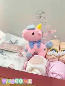 5pcs Seednery Newborn Baby Gift Set   5pcs Newborn Gift Hampers  5pcs Gift box newborn baby  5pcs Gift Box surprise