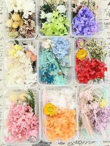 Natural Dried Flowers Eternal Flowers Artificial Simulation DIY Photo Frame Decal Fan Floating Material Kit Team Building Flower Art Class