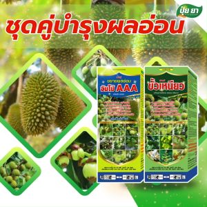 ขยายผลมังคุด ขั้วเหนียว ลดผลร่วง เร่งผลโต ขยายผลสม่ำเสมอ ฮอร์โมนพืช ชุดคู่ 1 ลิตร