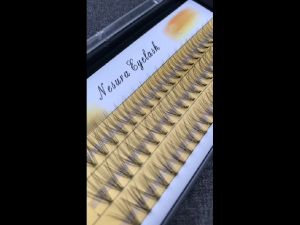 Mengenal Bulumata Russian Eyelash & Nesura 10d Type 2
