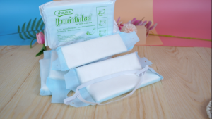 แวนด้าบิ๊กไซด์ ผ้าอนามัยหลังคลอด ผ้าอนามัยแบบห่วงพร้อมสายคาดแพ็ค10ชิ้น