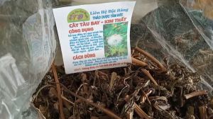 100g cây tàu bay - kim thất sấy khô