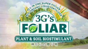 3Gs Japan Super Foliar Fertilizer Soil & Plant Growth Enhancer Vegetable Rice Red | Green Cup 1Liter with Measuring cup