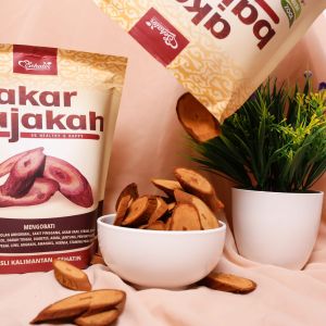 KAYU AKAR BAJAKAH ASLI KALIMANTAN HERBAL AMPUH MEMBANTU MENYEMBUHKAN KANKER TUMOR BENJOLAN BAJAKAH KUALITAS SUPER - SEHATIN