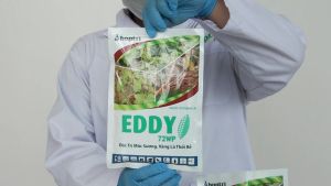 Combo 2 gói Eddy 72WP 50g  thuốc trừ bệnh đặc trị mốc sương vàng lá thối rễ