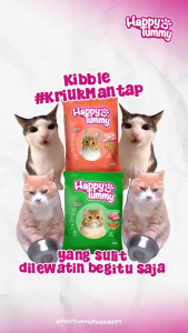 HAPPY TUMMY Makanan Kucing Kering 800g Freshpack
