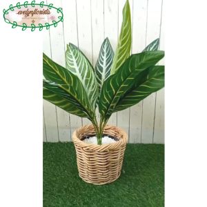 Pohon Hias Daun Aglonema Hijau Strip Pot Dasar Hitam Cover Rotan Bulat Tanaman Artificial Dekorasi Ruangan
