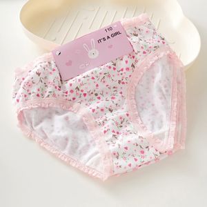 RAFF 3 Pcs  Girl Cotton Panties Seluar Dalam Budak Underwear Perempuan