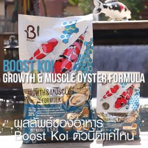อาหารปลาคาร์ฟ BOOST KOI สูตรน้ำผึ้ง 150g 🦪 สูตรหอยนางรม 🦪 เร่งโต เร่งล่ำ 💪