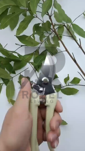 ROZEL Gunting Dahan Ranting Pohon Pruning Alat Potongg Dahan Ranting Rating Pohon Gunting Tanaman Tajam Super