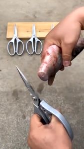 Gunting Dapur JAPAN SK5 Tajam & Kuat: Stainless Steel Kitchen Shear Serbaguna