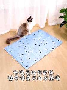 Pet New Land Pet Cooling Mat (Water Filled Version): A Comprehensive Guide