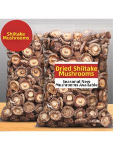 High Expansion Meaty Pearl Mushroom