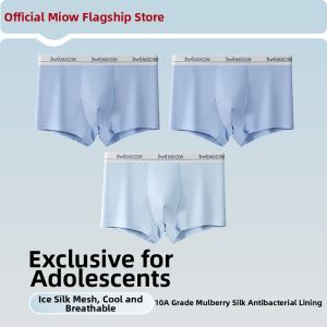 MiiOW | Youth Ice Silk Underwear For Boys