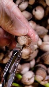 [LOẠI I] Kìm mở sò huyết nghêu - Kìm kẹp càng cua ghẹ - Kềm mở nghêu tách sò huyết inox 304