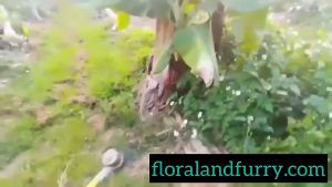 Yasen 12" S Type Heavy Duty Brush Cutter Blade Thick Sharp / Mata Pisau Mesin Rumput Tahan Lasak Tajam Bergigi Bulat 割草机刀片耐用有力