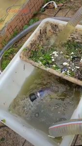 Tsolumy Pompa Celup Air Kotor SPV-370SVQG dan SPV-370SVQGF Pompa Limbah / Pompa Kolam Ikan / Pompa Tambak / Pompa Sawah