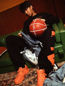 Low Top Basketball Shoes