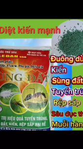 Diệt kiến rải chết kiến nhiều kiến chết nhanh sùng đất rải đuông dừa rải trừ bọ cánh cứng hại dừa tuyến trùng muỗi hành sâu đục thân