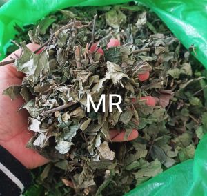 Daun keji beling 500 gram kering pecah beling kering