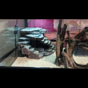 Basking Platform 25.5x25x18.5cm Reptile Hideout Cave Terrarium Turtle Tortoise Lizard Snake Bearded Dragon Gecko GT012L