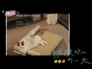 Cool & Breathable Dog Pads: Ultimate Pet Bed Solutions