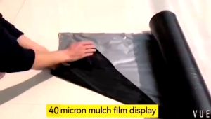 พลาสติกคลุมดิน 400หลา(360ม) พลาสติกคลุมแปลง พลาสติกดำเงิน พลาสติกกันวัชพืช กันวัชพืช ปลูกผัก ปลูกผลไม้