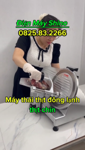 Máy thái thịt ES250 inox thái thịt đông lạnh thịt chín