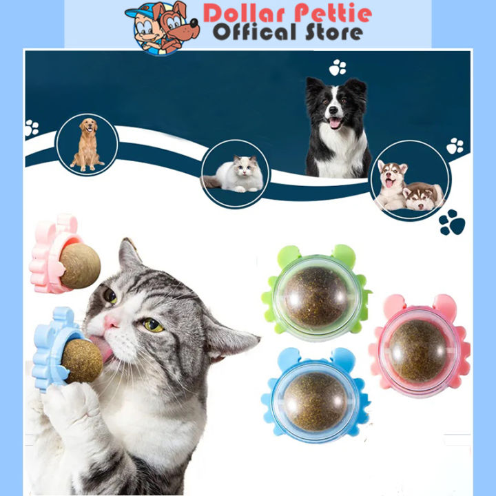 Catnip Cat Mint Ball Cat Snack Treats Toy Ball | Lazada PH