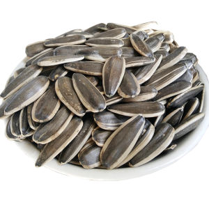 New Stock Original Flavor Large Kernels Sunflower Seeds Raw Unshelled 5 Pounds Bulk Snack Nuts from Inner Mongolia