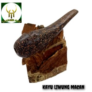 once sedotan varian unik dan antik kayu kelor hitam nogosari kalimosodo kelor Jawa kemuning galih asem liwung Cendana