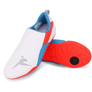 GINGPAI | Ventilated Rubber Soft Sole Martial Arts Coaches Shoes