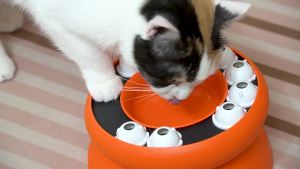 Popular Puzzle Multifunctional Cat Supplies Leaky Slow Food Bowl Cat Self-Hi Interactive Toys Pet Cat Supplies