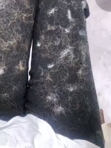 HHsociety แปรงรูดขนแมว แปรงกำจัดขนสัตว์ แปรงเก็บขน กำจัดขนสัตว์เลี้ยง ลูกกลิ้งกำจัดขนแมว ลูกกลิ้งกำจัดขนสุนัข  WL-01