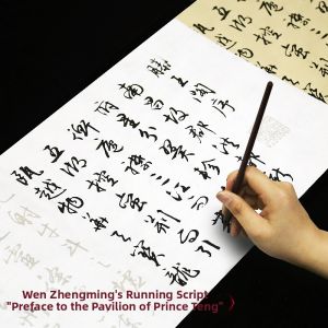 FUBIXING | Beginner Practice Calligraphy Copybook For Learning Chinese Calligraphy
