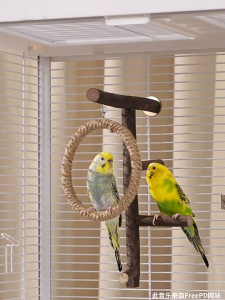🇸🇬 Pet Bird Standing Branch & Platform Grape Wood Pepper Wood Perch Stand天然葡萄木花椒木