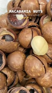 Macadamia nut Australian nuts delicious snacks healthy snacks roasted nuts roasted Australian nuts with rich flavors various snacks mixed nuts and dried fruits mixed nuts and berries