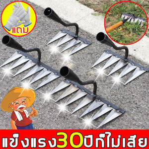 คราด - ทนทาน 30 ปี ครั้งถาวร! 7ฟัน - 6ฟัน - 4ฟัน คาดหญ้า - คราดหญ้าเหล็ก - คราด - ถามผลประสบการณ์ 7ฟัน 6ฟัน 4ฟัน คาดหญ้า คราดเหล็ก คราดหญ้าเหล็ก คราด - ถามผลประสบการณ์ คราดมีด้าม ขุดดิน ขุ่นถางหญ้าดายหญ้า คอบลัด จอบถากหญ้าเล็ก