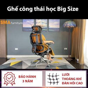 Ghế công thái học Ergonomic Life 02 - Ghế văn phòng làm việc hỗ trợ cột sống chuẩn tư thế siêu chắc