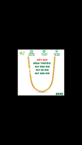 Dây chuyền ngầu cho nam 2 đầu rồng mạ vàng 24k dây chuyền ngầu titan không đen không gỉ xài nước tốt - Người Đẹp Vì Lụa