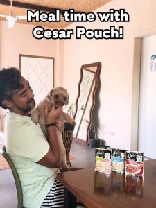 CESAR Wet Puppy Food Pouch – Premium Dog Food for Puppy in Chicken Carrot Pumpkin in Gravy 70g x 6