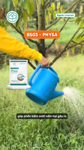 BS03 Physa Trị Vàng Lá Thối Rễ Phục Hồi Rễ - Xử Lý Tuyến Trung Nấm Đất 250g 500g - Bác Sĩ Cây Xanh