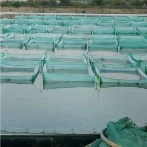 Fish breeding net Aquaculture nursery nets Fish ponds prevention net Fish Isolation nets