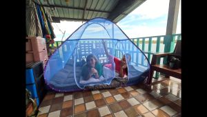 (ขายดี) Net2u พร้อมส่ง พับได้ มุ้งกันยุง กันแมลง มุ้งเต็นท์ มุ้งครอบผู้ใหญ่และเด็ก 5ฟุต 6ฟุต 7ฟุต