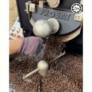 Rengit Excelsa Coffee [HALAL] 50s x 10 g l 100% Pure Coffee