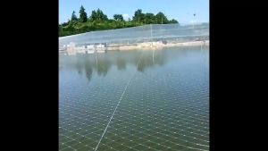 เอ็นสีใสไม่ทึบ ไม่ขุ่น ตาข่ายกันนก หน้ากว้าง1-2-3ม ตะข่ายดักนก พิเศษ นกพิราบ สัตว์ร้าย