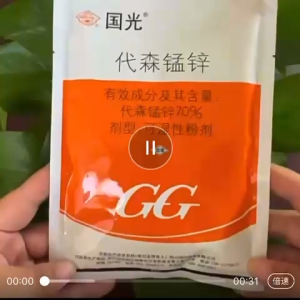 Guoguang 70% Mancozeb Wettable Powder 100G – Broad-Spectrum Fungicide for Roses & Ornamental Plants