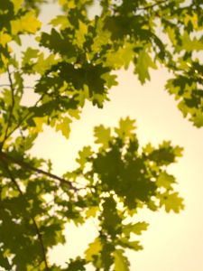 3 Speeds Bladeless Portable Neck Fan USB Type Rechargeable Leafless Hanging Neck Fan Headphone Design Neck Fan by JUST4U