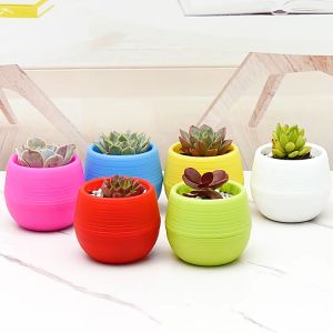 Chậu nhựa trồng cây sen đá PAVAVA xương rồng và cây cảnh mini các loại tự tưới hình tròn 2 tầng